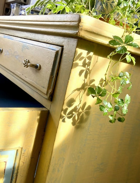 Sideboard Cupboard Yellow with Blue Roses