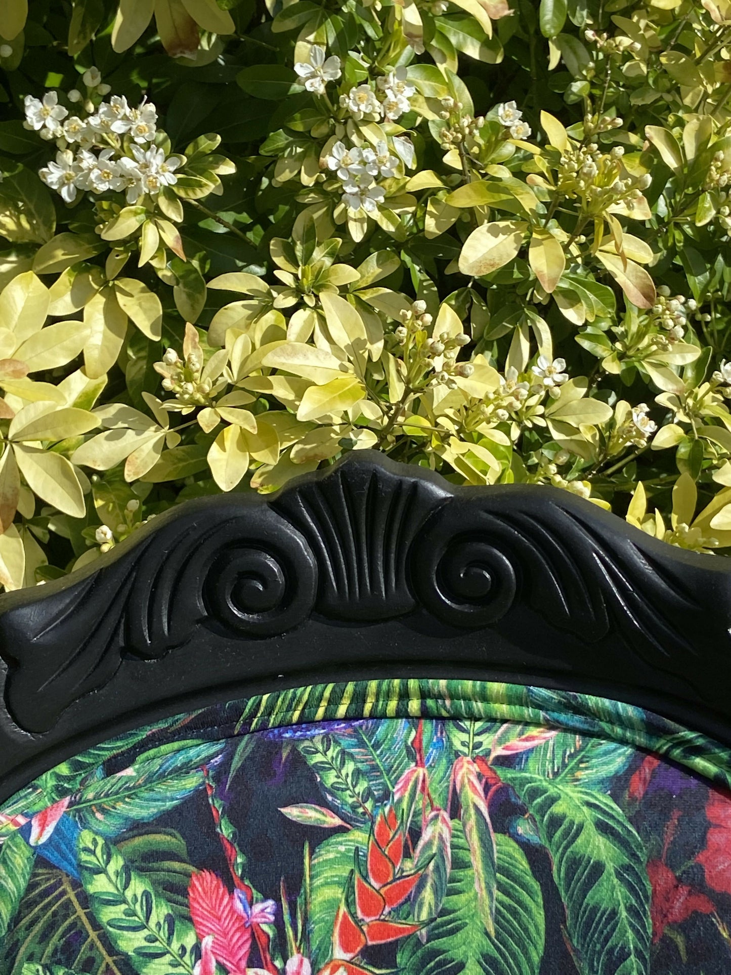 Rococo Vintage Hummingbird Velvet Chair