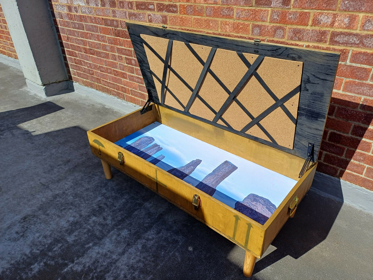 Storage Coffee Table