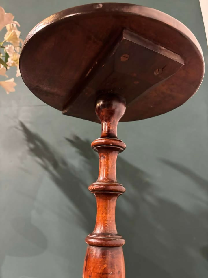 Victorian Mahogany Plant Standb