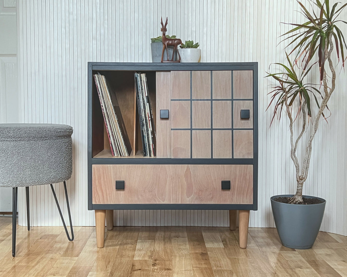 Record Cabinet_13