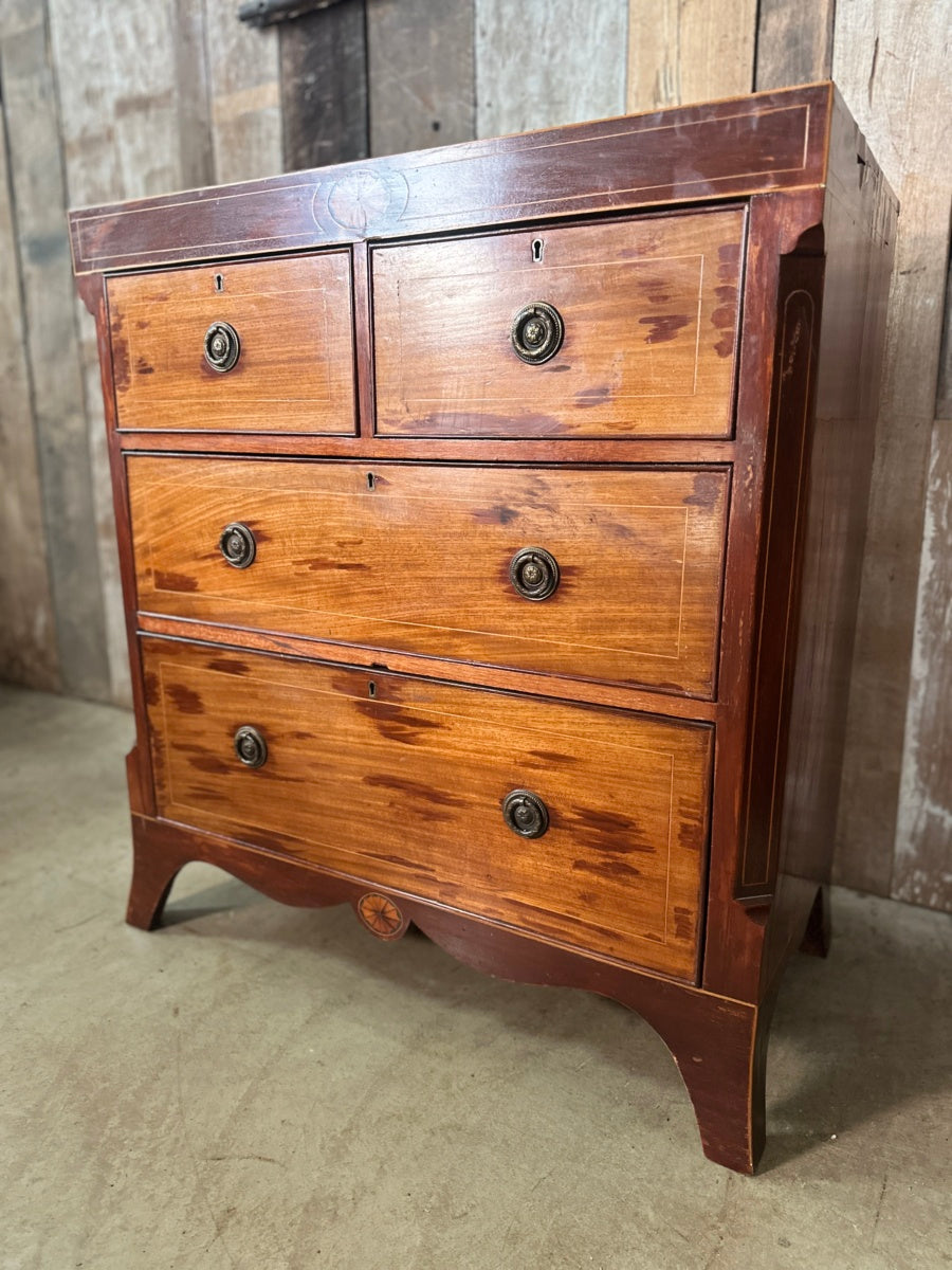 Antique Sheraton Revival Mahogany Two over Two Chest of Drawers, c 1890