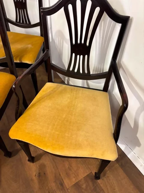 Set of Six Upholstered Mahogany Dining Chairs with Pierced Splat Backs (2 Carvers & 4 Side Chairs)