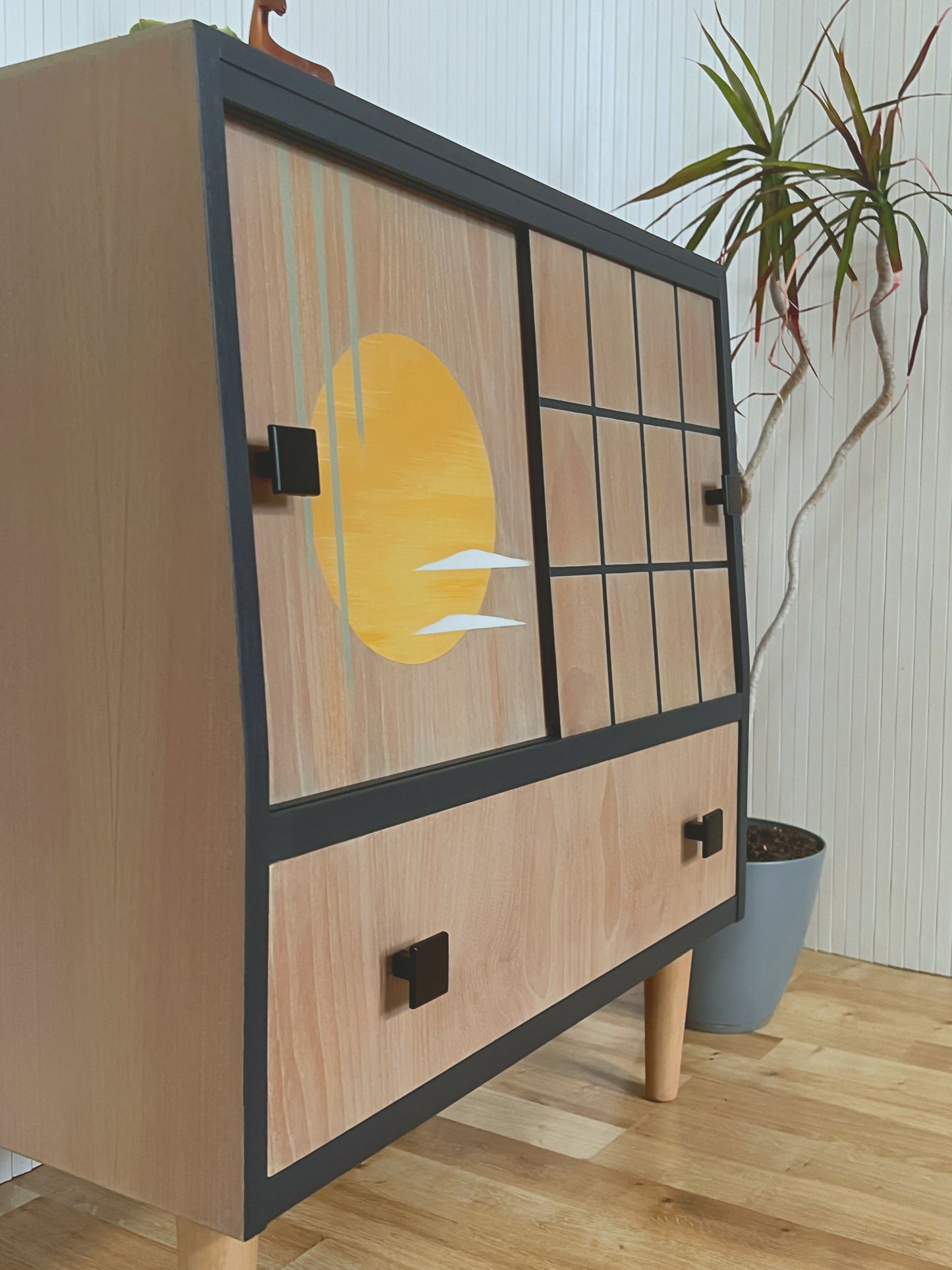 Record Cabinet_09