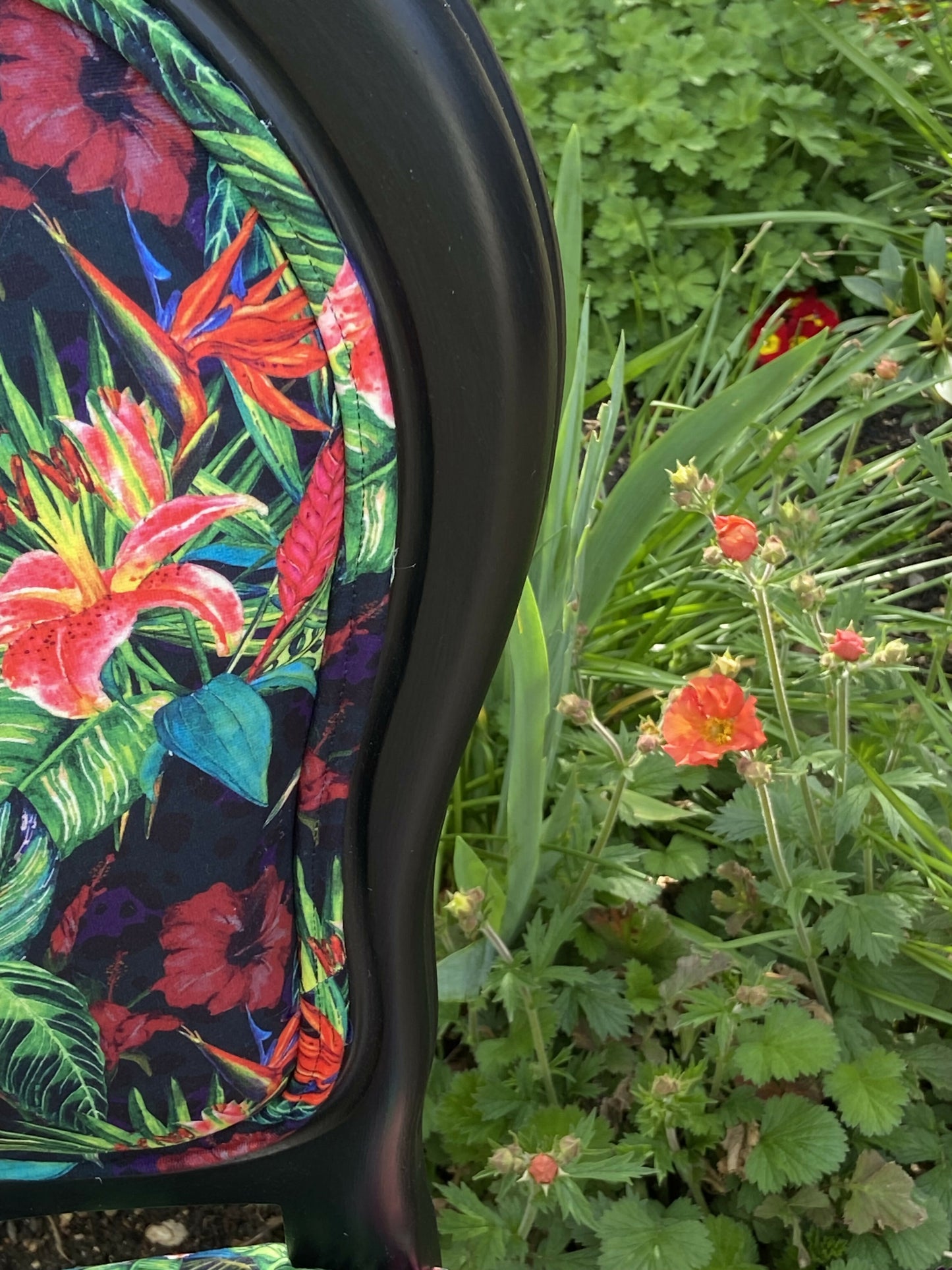 Rococo Vintage Hummingbird Velvet Chair