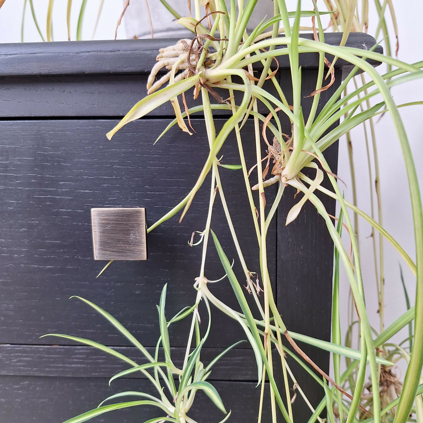 Blue Vintage Chest of Drawers