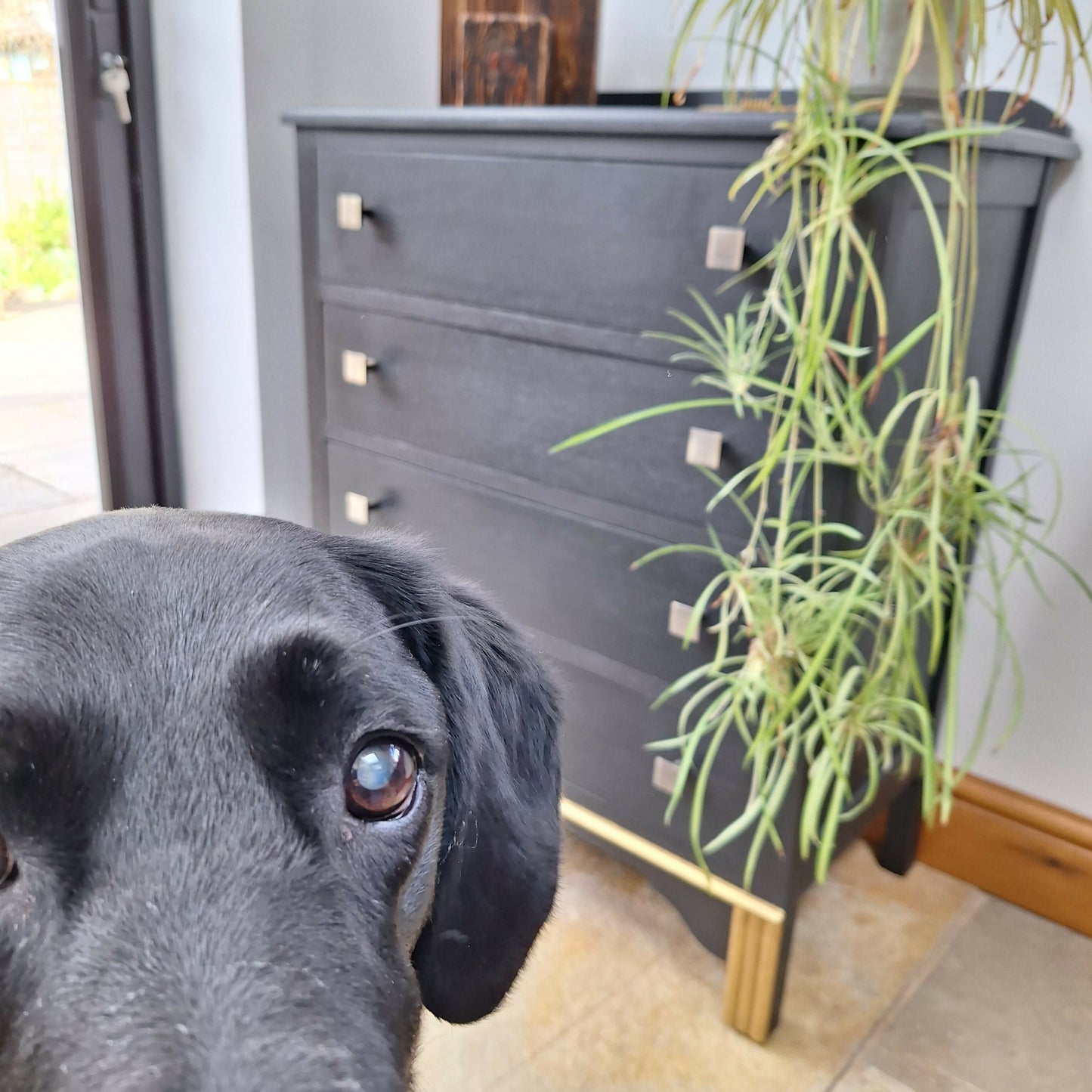 Blue Vintage Chest of Drawers