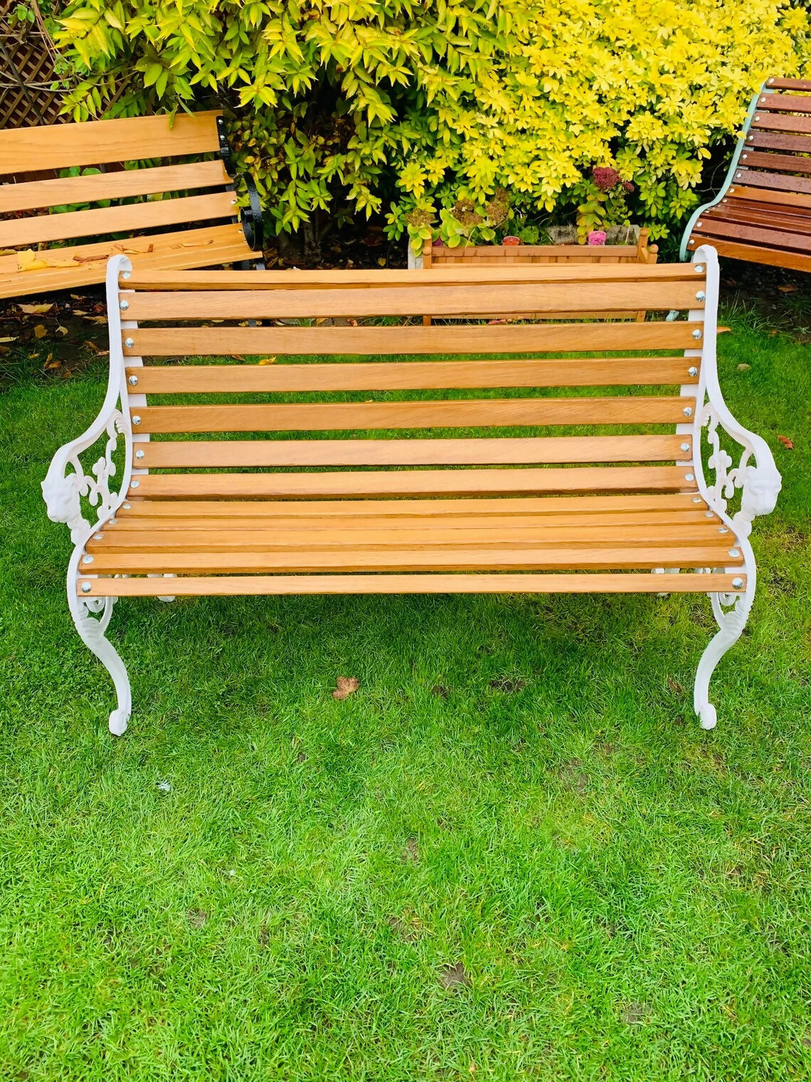 Antique Cast Iron Lions Head Bench Finished with European Oiled White Oak Slats