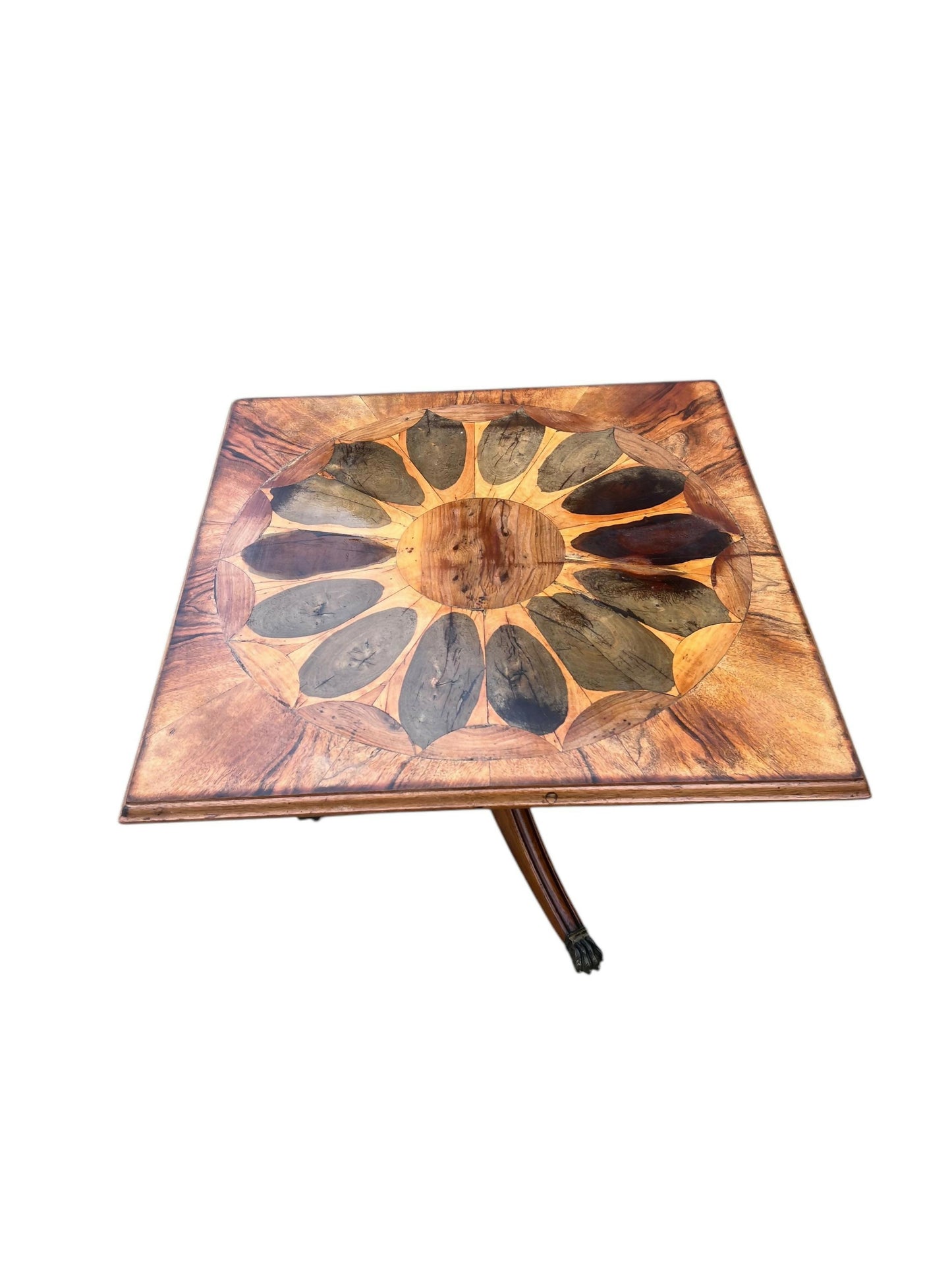 Vintage Yew Wood Oyster Specimen occasional table