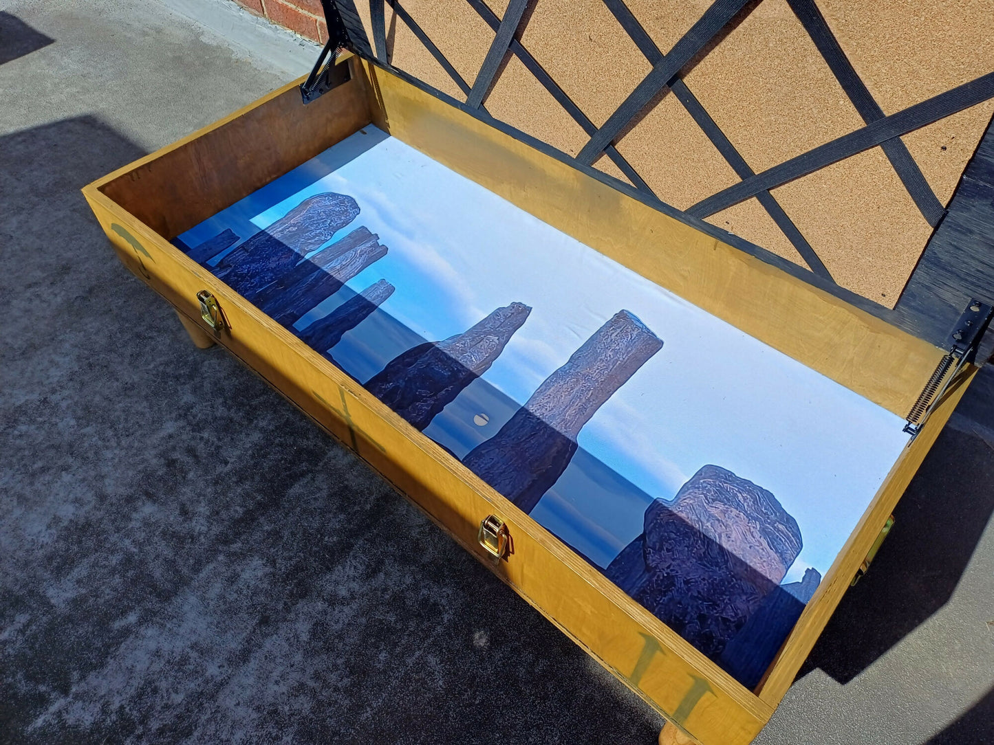 Storage Coffee Table
