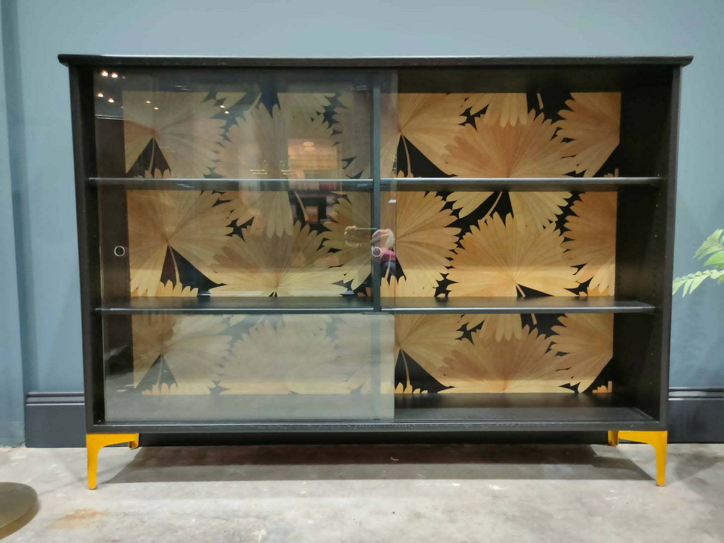 Mid Century Glass Fronted Bookcase/Cabinet
