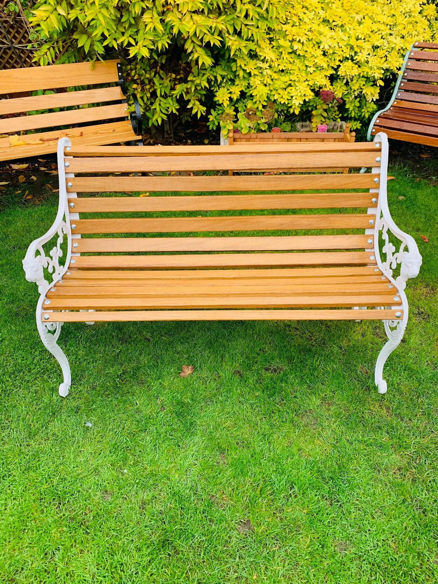 Antique Cast Iron Lions Head Bench Finished with European Oiled White Oak Slats