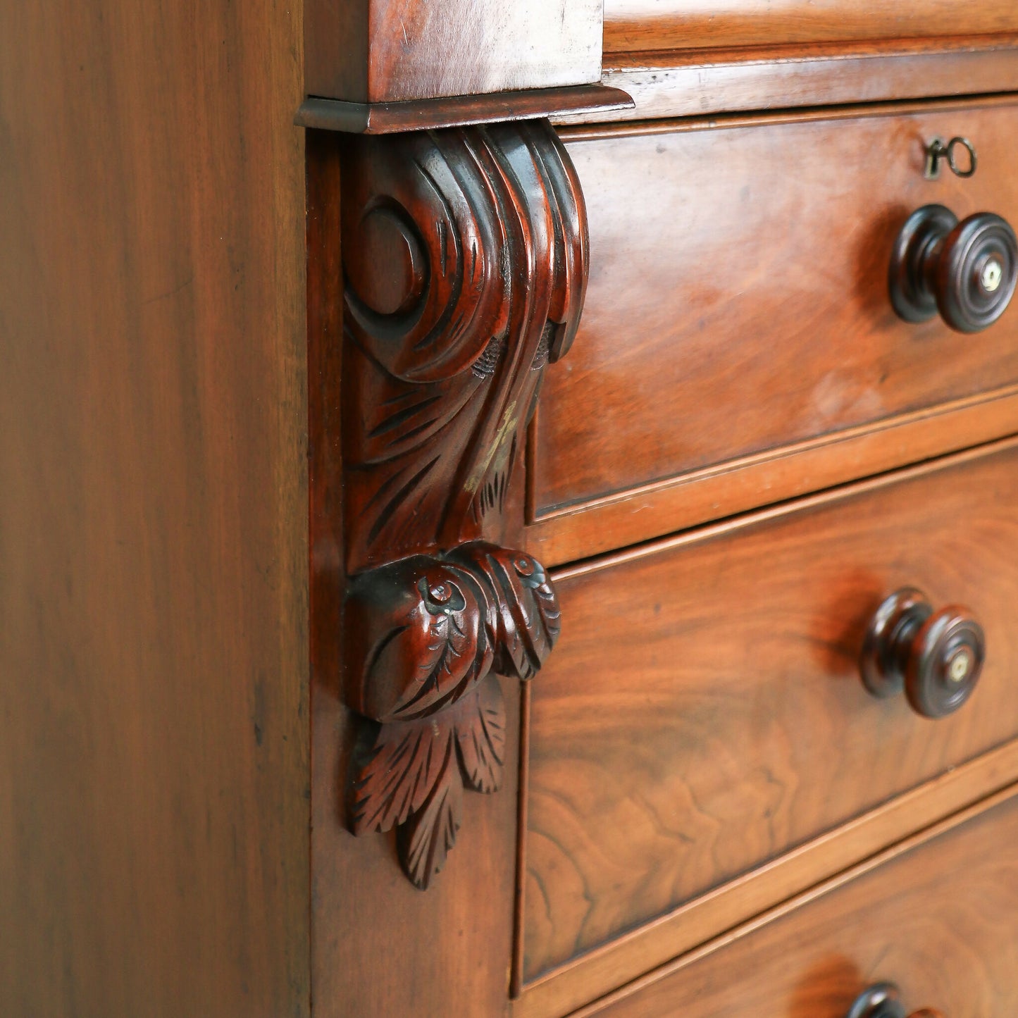 Scottish Mahogany Chest of Drawers Two Short Over Three Long Scroll Corbels