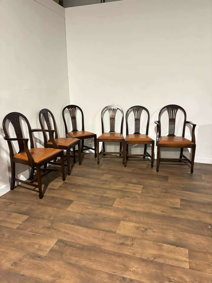 Set of Six Vintage Mahogany Dining Chairs - two of which are carvers.