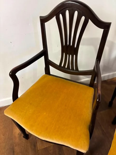 Set of Six Upholstered Mahogany Dining Chairs with Pierced Splat Backs (2 Carvers & 4 Side Chairs)