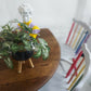 Rainbow Colour Solid Wood Farmhouse Dining Table And Chairs