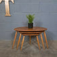ERCOL PEBBLE TABLES ~ MID CENTURY ~ VINTAGE ~ RESTORED