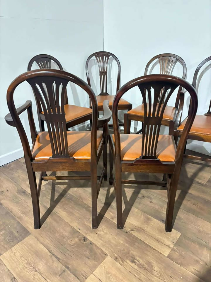 Set of Six Vintage Mahogany Dining Chairs - two of which are carvers.