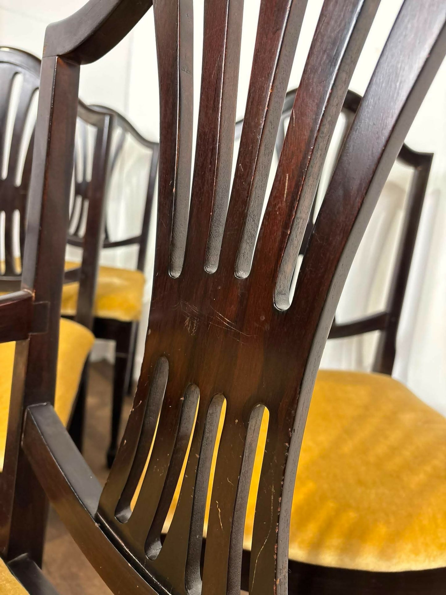 Set of Six Upholstered Mahogany Dining Chairs with Pierced Splat Backs (2 Carvers & 4 Side Chairs)