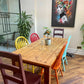 Hand Painted Multi Coloured Dining Chairs