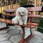 Original GWR Vintage Platform Bench – Vintage Railway Seating 178cm