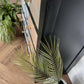 Monochrome botanical large chest of drawers