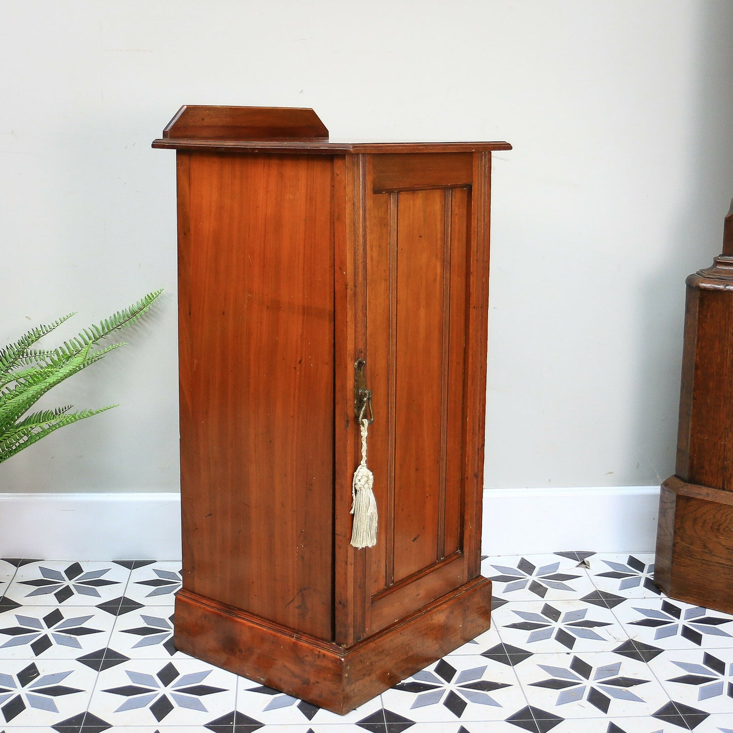 Antique Bedside Cabinet Pot Cupboard Late Victorian Mahogany