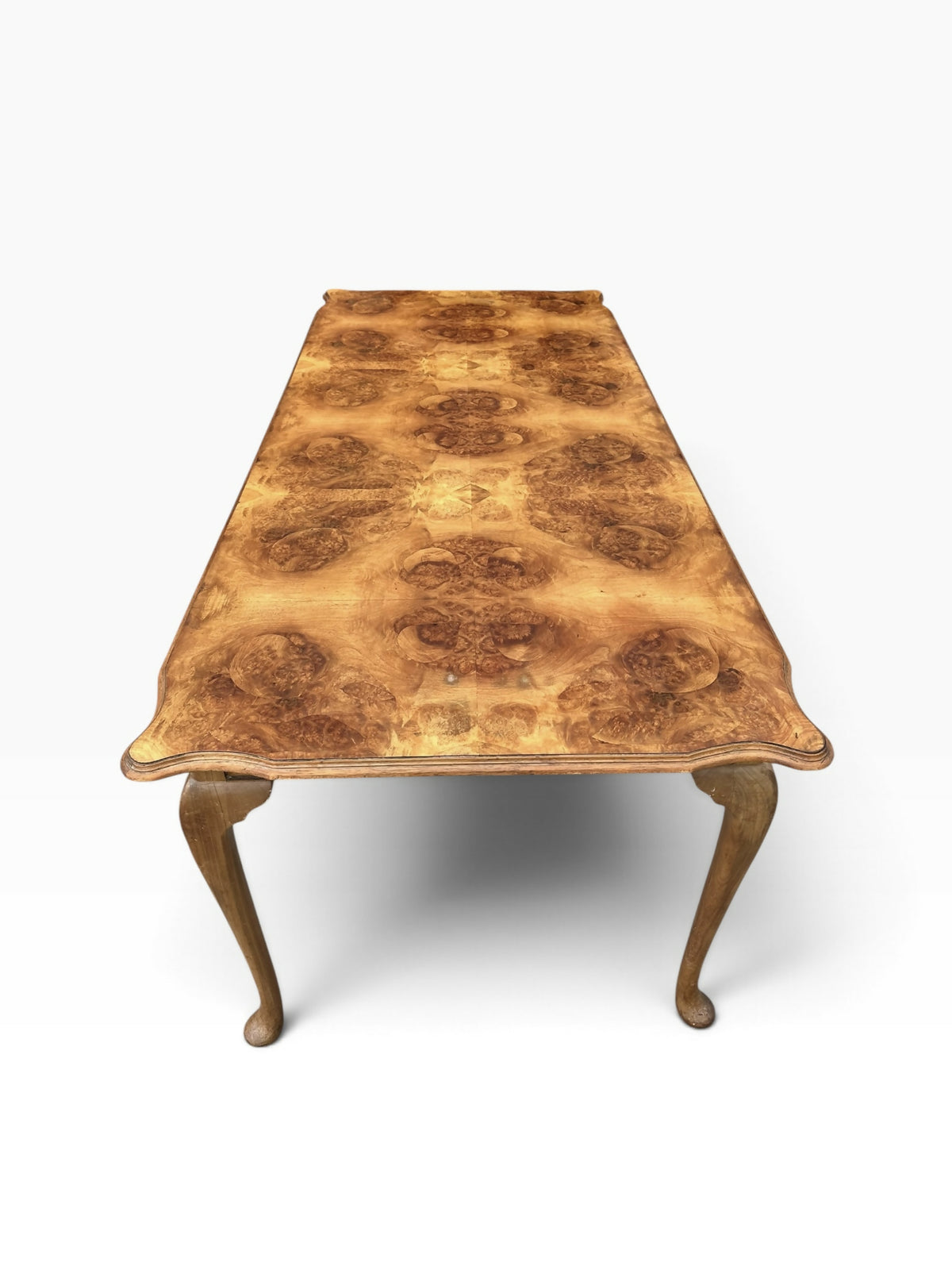 Burr Walnut Queen Anne style dining table