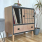 Record Cabinet_12