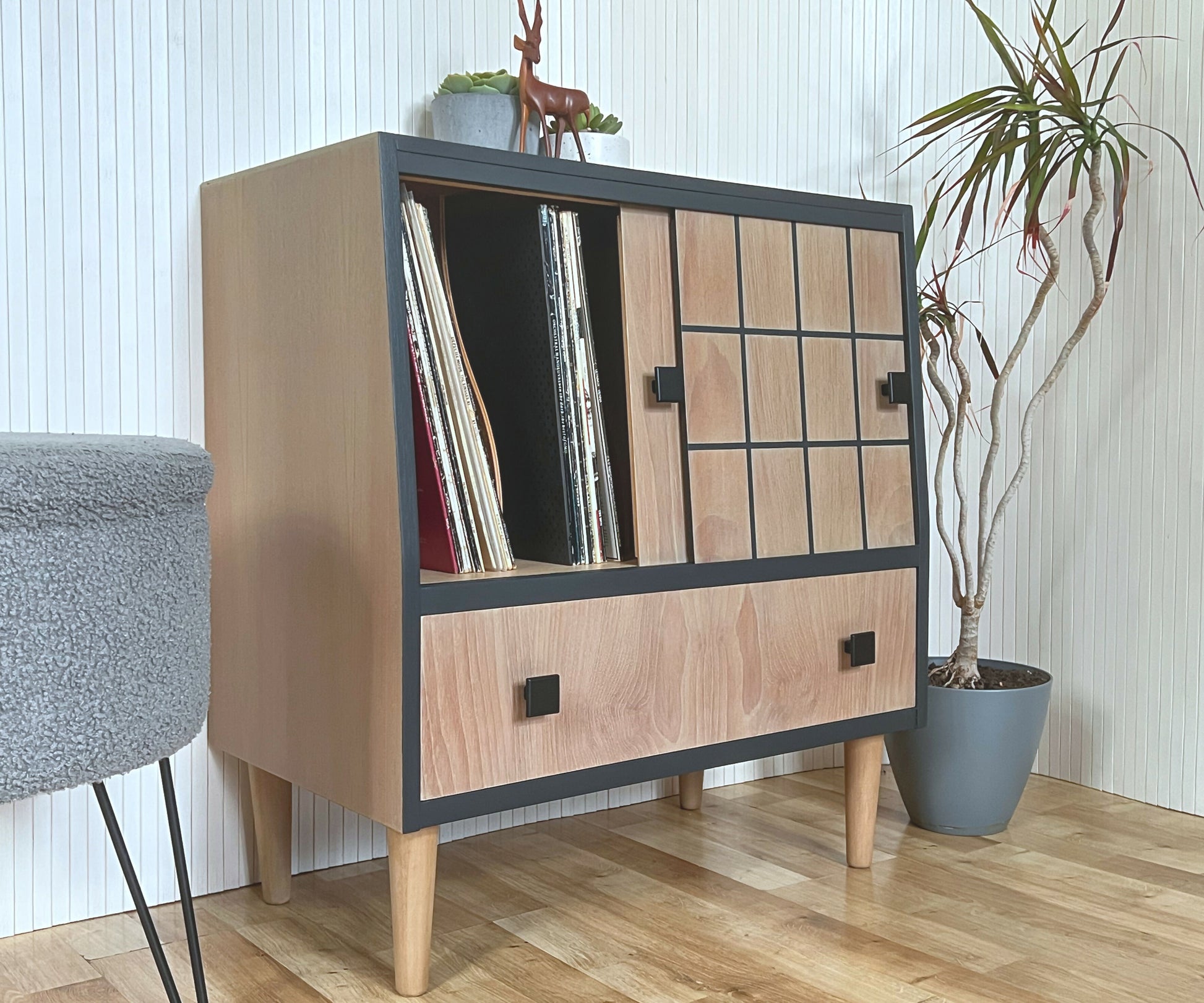 Record Cabinet_12