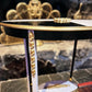 French-Style Oval Side Table - Blush Pink, Black & Gilt Geometric Design
