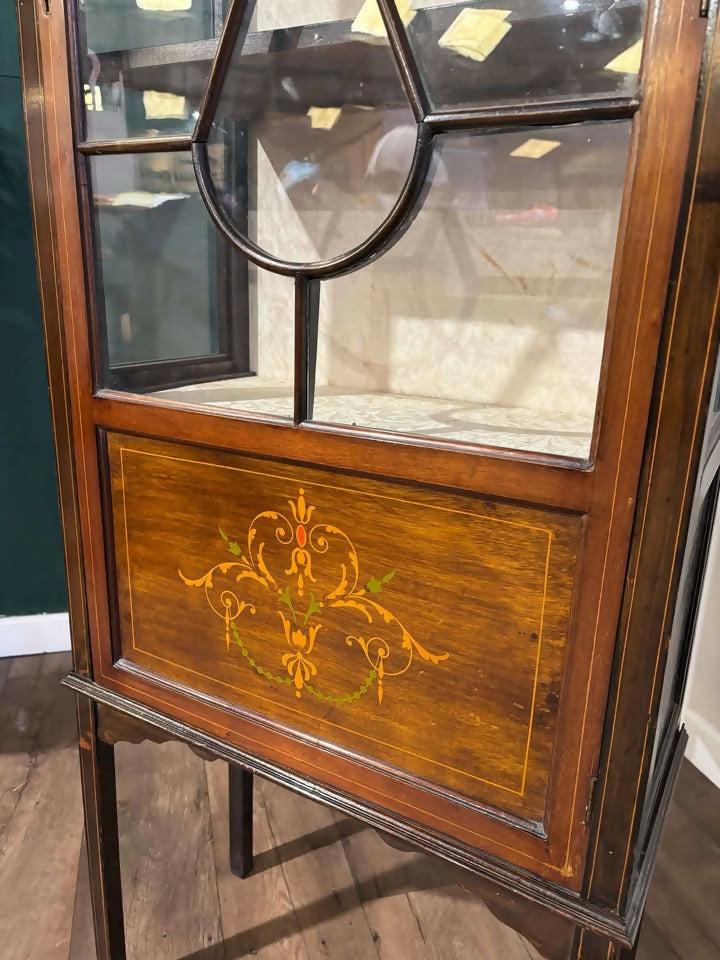 Edwardian Astral Glazed Mahogany Display Cabinetx