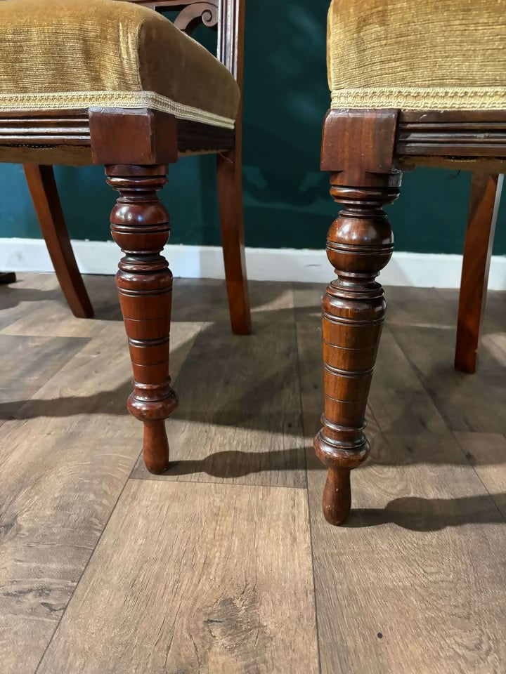 Four Edwardian Carved Walnut Dining Chairs