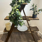 Rustic vintage style stepladder display