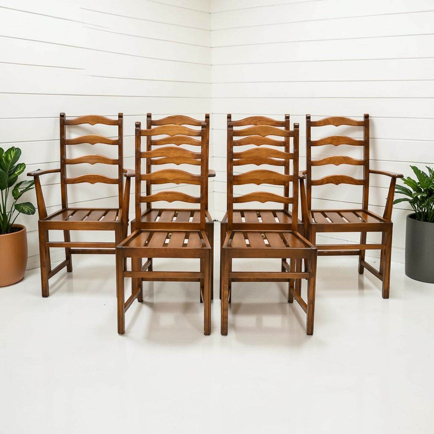 6 Ercol Dining Chairs 1970s Ladderback Inc 2 Carvers Golden Dawn FREE Delivery*