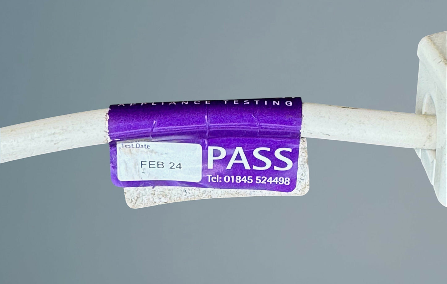 Lacquered Chinoiserie Standard Lamp Circa 1930