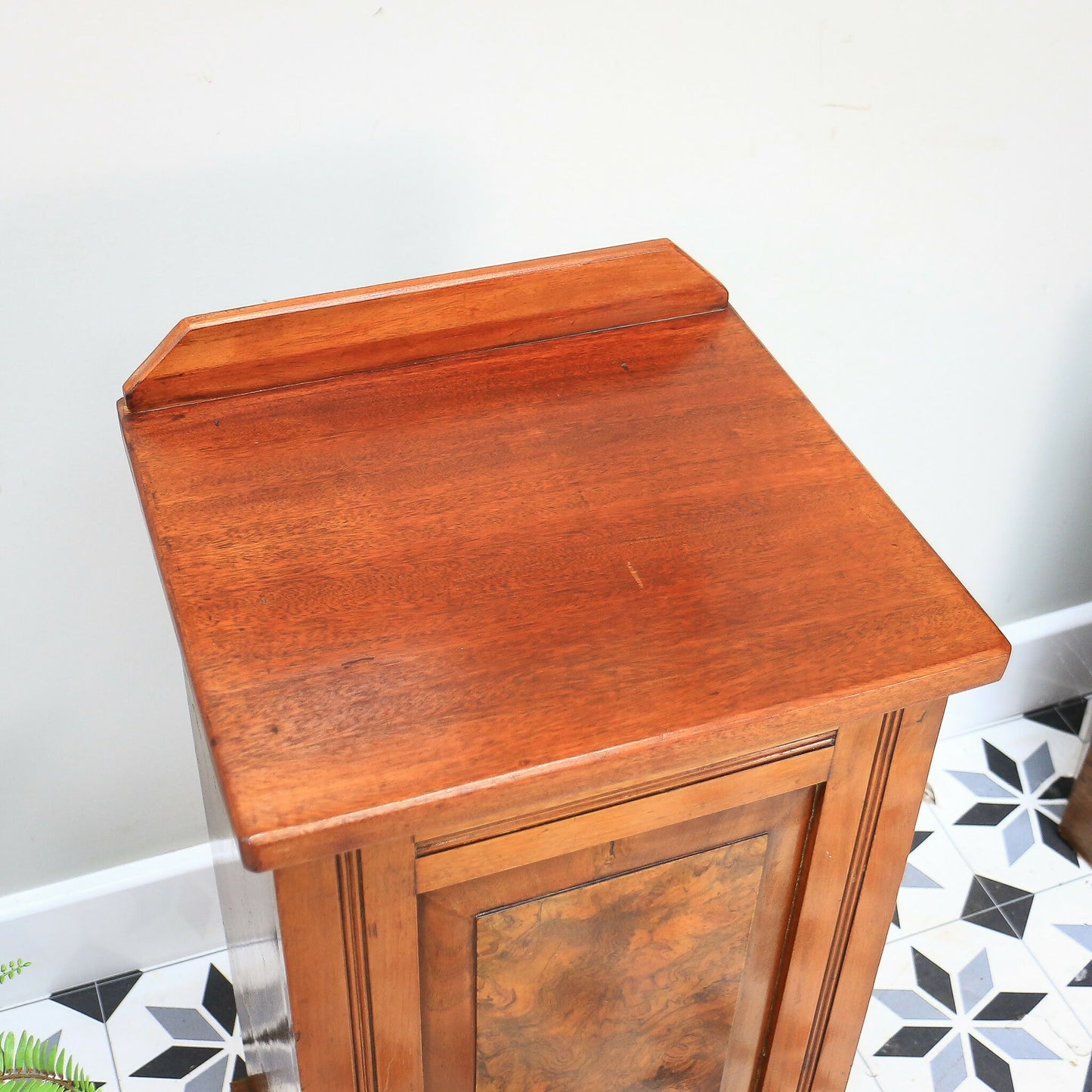 Antique Bedside Cabinet Pot Cupboard Late Victorian Mahogany and Burr Walnut