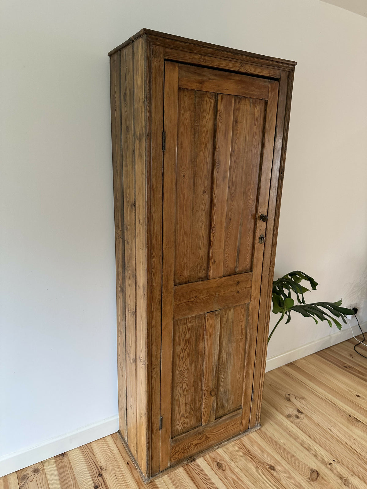 Victorian Pine Cupboard House Keepers Pantry Pitch Pine Rustic Farmhouse Larder Linen Cabinet