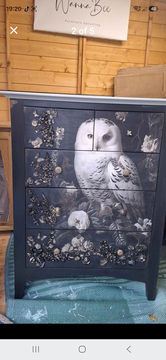 Owl decoupage wood Drawers