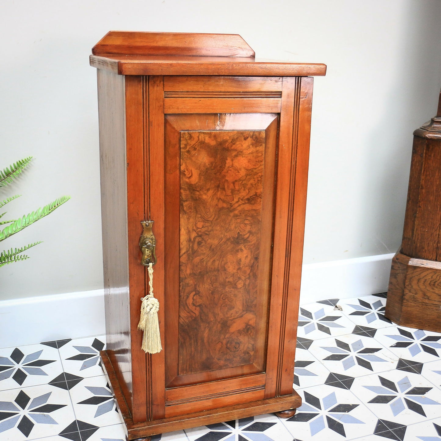 Antique Bedside Cabinet Pot Cupboard Late Victorian Mahogany and Burr Walnut