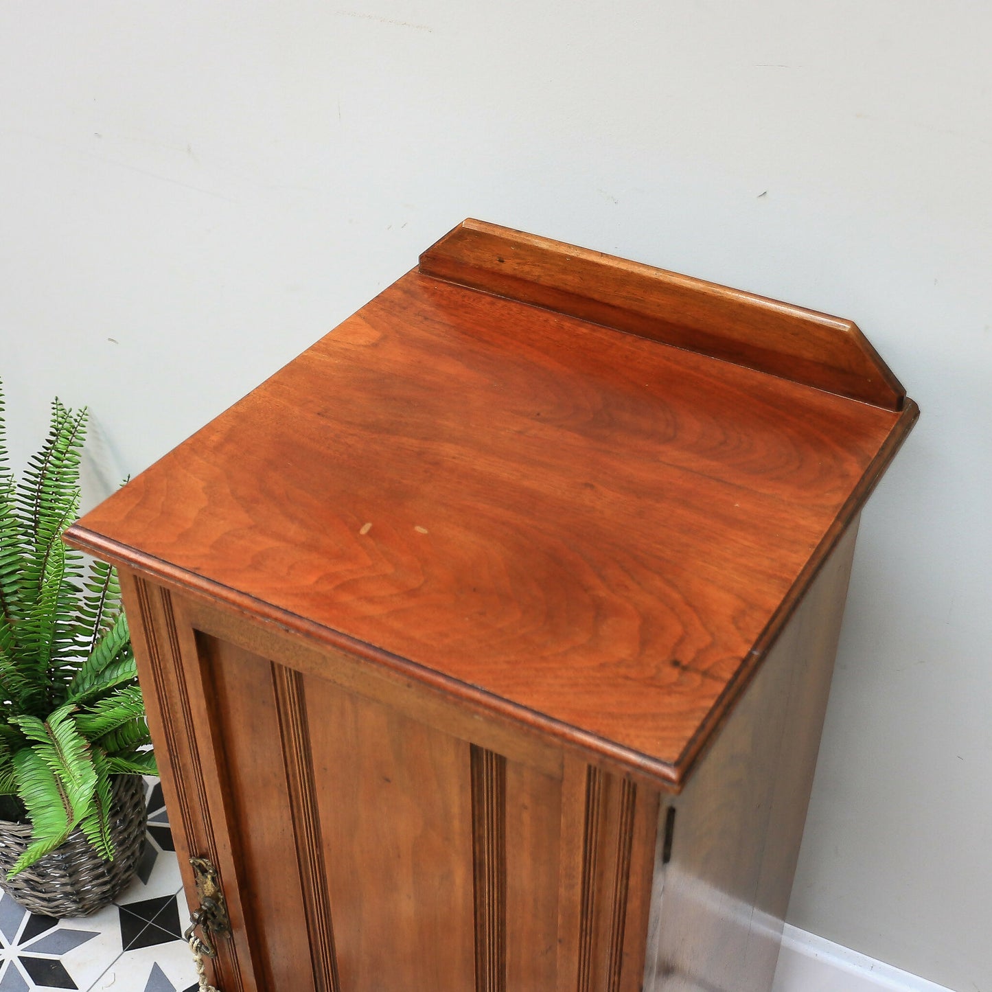 Antique Bedside Cabinet Pot Cupboard Late Victorian Mahogany