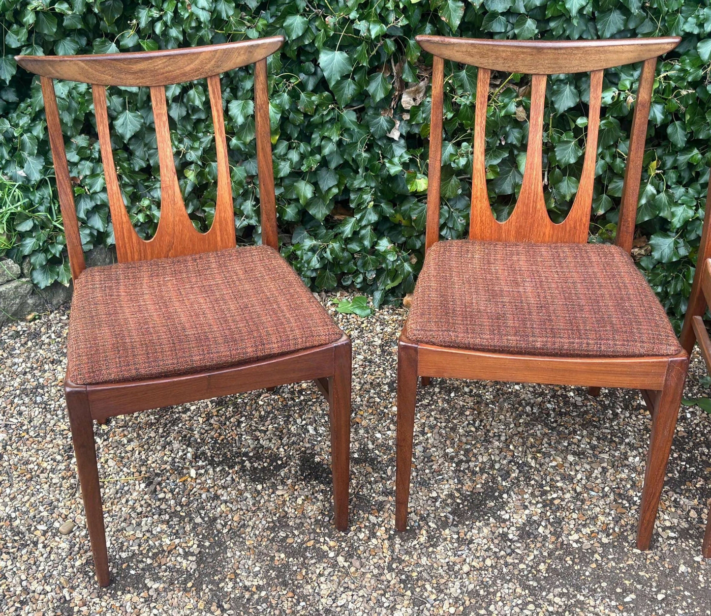 Vintage 1960's G Plan Brasilia Teak Dining Chairs