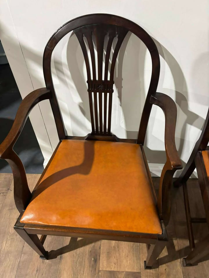 Set of Six Vintage Mahogany Dining Chairs - two of which are carvers.