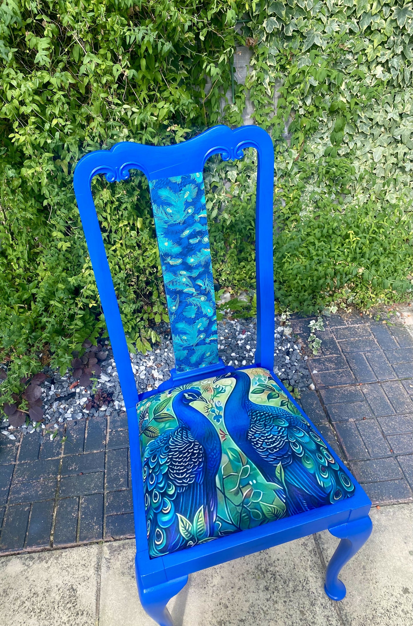 Peacock Chair