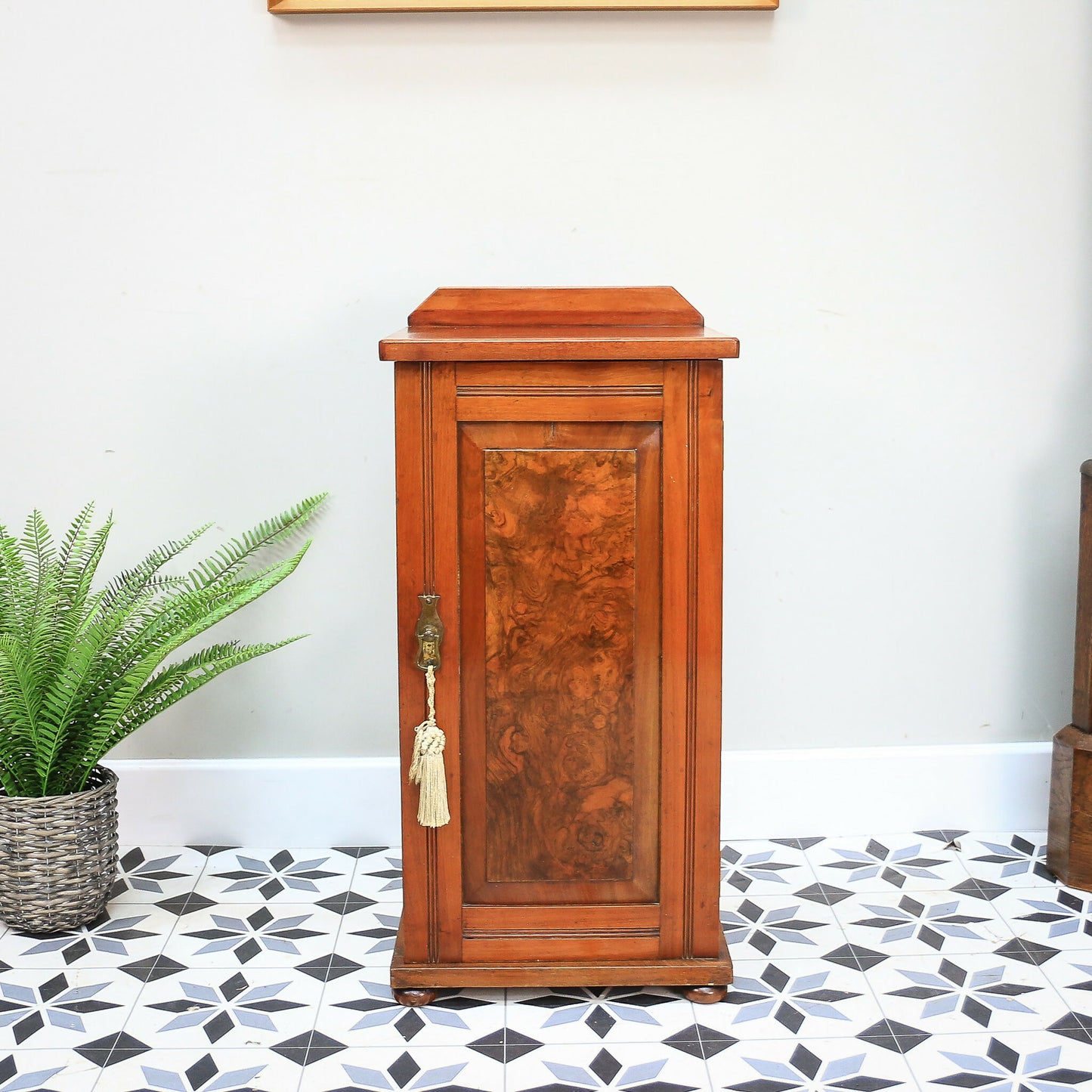 Antique Bedside Cabinet Pot Cupboard Late Victorian Mahogany and Burr Walnut