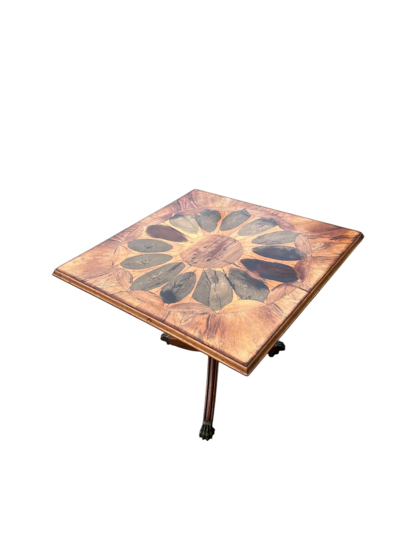 Vintage Yew Wood Oyster Specimen occasional table