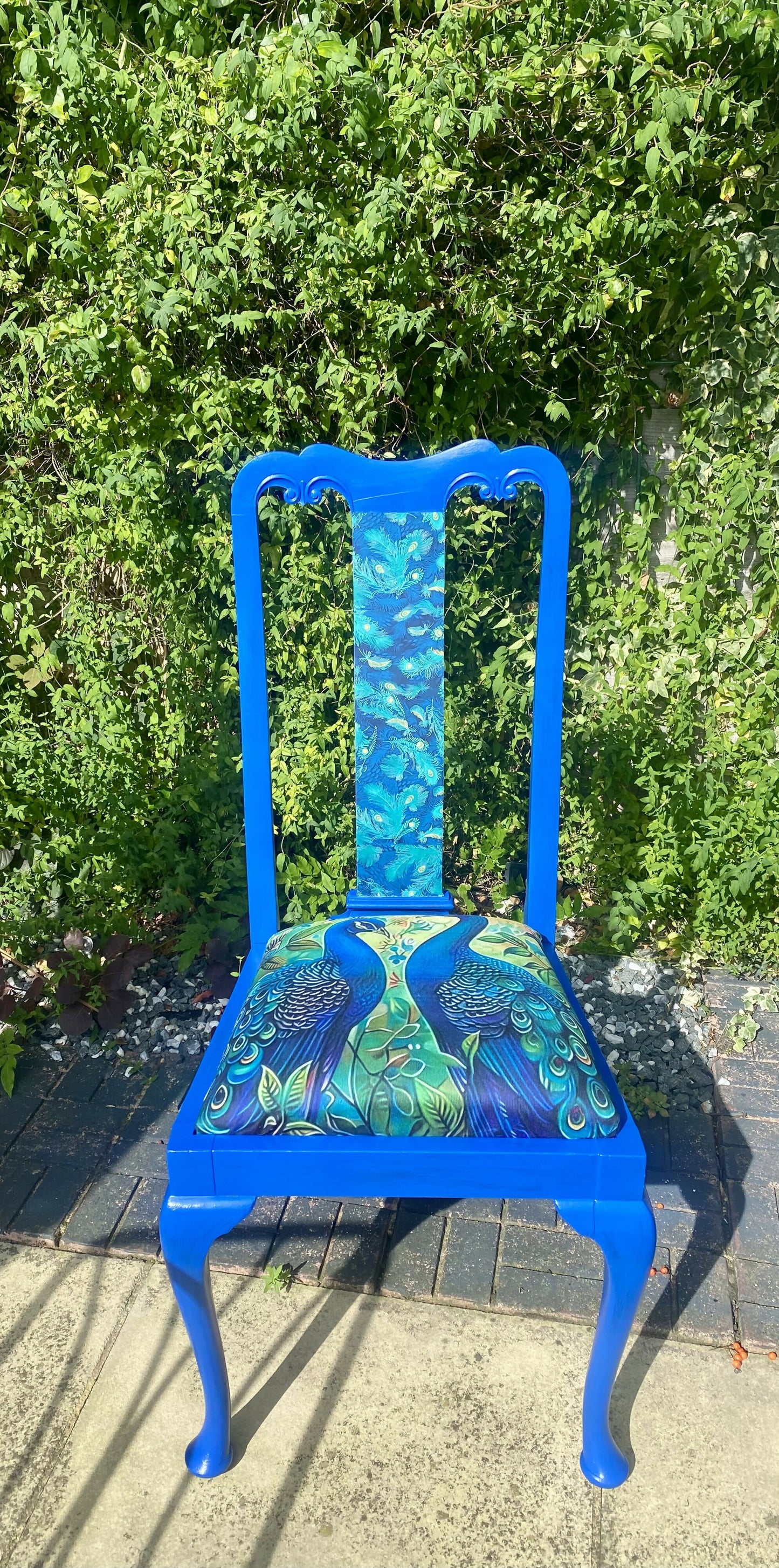 Peacock Chair