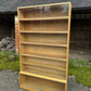 Vintage ‘Simplex’ Mid Century Bookcase Display Specimen Collectors 60s Cabinet