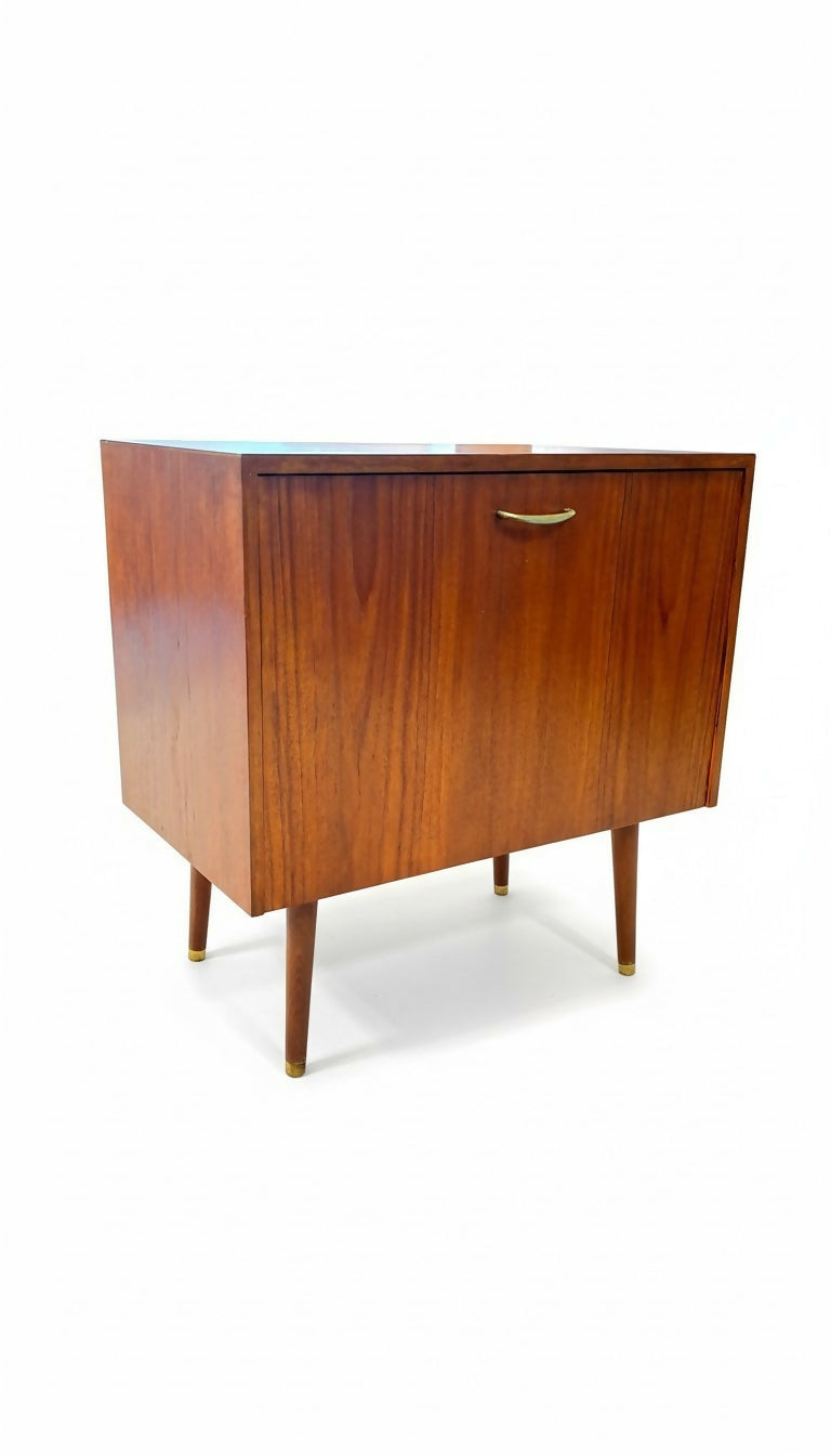 Mid Century Record Storage Cabinet