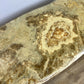 Coffee Table Vintage Shabby Chic Louis XVI Marble Top Carved Table LOT 6278